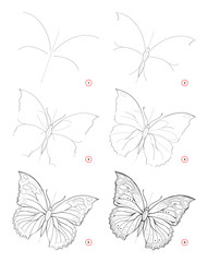Wall Mural - how to draw sketch of beautiful fantastic butterfly. creation step by step pencil drawing. education