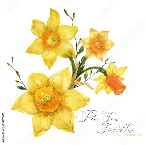 Yellow spring floral bouquet with daffodil flowers, traced watercolor Tableau sur Toile