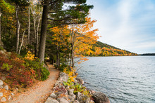 A Hiking Trail Curves Along The Edge Of A Lake Through A Forest In Brilliant Fall Colors In Acadia National Park