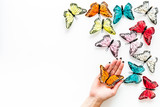 Fototapeta Motyle - Butterfly on women hand near set of multicolored butterflies on white background top-down
