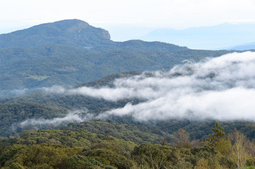 Landscape sea of fog at the mountains, Thailand