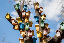 Birdhouses On A Tree