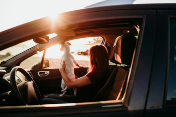 Wall Mural - young woman and her cute dog in a car at sunset. travel concept