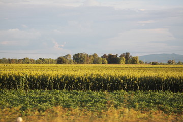 Canvas Print - Leaving San Pancho trip back to Queretaro