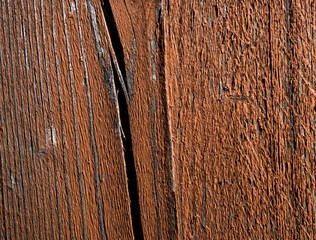 Texture of old wood. Background image. Macro photo