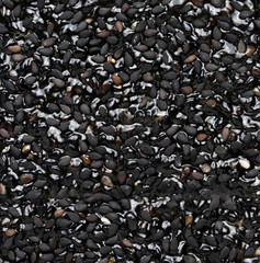 Wall Mural - abstract black sesame seeds texture background