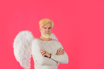 Cupid in valentine day. Male angel. Bearded man with angel wings. Male angel with feathered wings. Blonde cupid with white angel wings. Happy Valentine Day. Cupid. Amour. Valentine cupid. February 14.