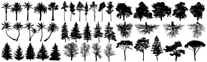 Wall Mural - Trees silhouette vector set. Isolated on white background