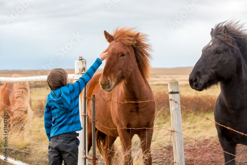 Cuadros en Lienzo Beautiful child and horses in the nature, early in the morning on a windy autumn