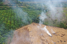 Deforestation. Land Cleared And Burned To Make Way For Palm Oil Plantation