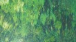Aerial top down view of long waterplants under transparent clear turquoise water of river. Natural texture, background. Seaweed patterns. River flow. Trebinje, Bosnia.