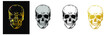 © Tatyana - Skull vector set Hand drawn design. Grey skull, gold skull, black and white skull, ocher skull isolated on white background.  Vector illustration EPS 10