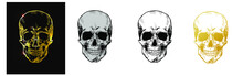 Skull Vector Set Hand Drawn Design. Grey Skull, Gold Skull, Black And White Skull, Ocher Skull Isolated On White Background.  Vector Illustration EPS 10