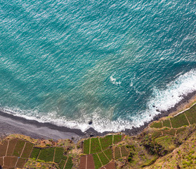 Wall Mural - fields on the southern coast of madeira island,
