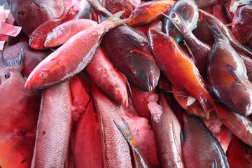 Canvas Print - Guadeloupe fish market