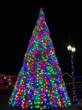 Fototapeta Mosty linowy / wiszący - Outdoor Large Christmas Tree In Pastel Lights