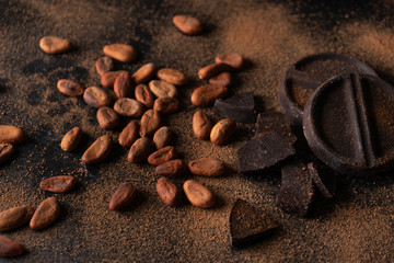 Wall Mural - Cacao seeds and chocolate on dark background