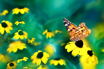 Wall Mural - Summer spring magic natural abstract background. Yellow small flowers and orange butterfly  against a beautiful aquamarine bokeh.