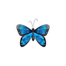 Colorful Butterfly Animal Vector Icon For Graphic Design