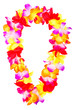 Hawaiian lei beads with vibrant colors isolated on a white background