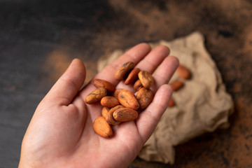 Canvas Print - Cacao beans and chocolate on dark background