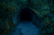 © F33 Studio - Tunel w lesie