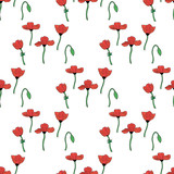 Fototapeta Kwiaty - Seamless background with poppies and poppy bud. Endless pattern on white background for your design. Vector.