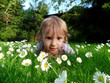 a small and beautiful girl on a meadow full of flowers