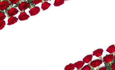 Wall Mural - frame of flowers red roses with leaves on a white background with space for text. top view, flat lay