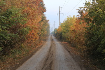 Beautiful landscape: the road goes to the horizon