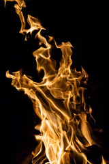 Wall Mural - flames of fire on a black background