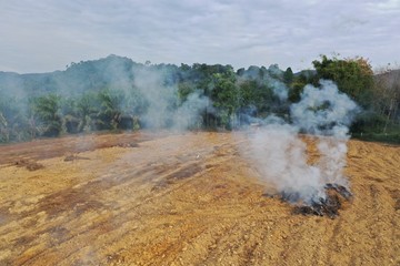 Wall Mural - Deforestation. Land cleared and burned to make way for palm oil plantation