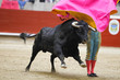 bullfight with the animal in the foreground