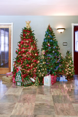 group of traditionally decorated christmas trees arranged as a forest in a family room in a home wit