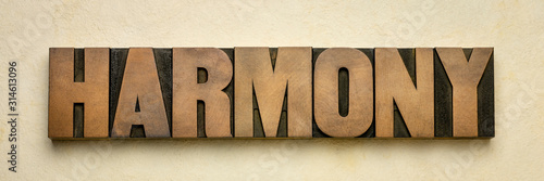 Cuadros en Lienzo harmony word in vintage wood type