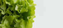 Fresh Green Salad On A White Background