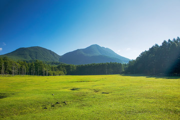 Wall Mural - 光徳牧場と太郎山（右）