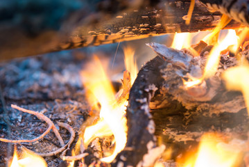 Close-up of burning bonfire. Nature abstract background