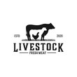 vintage livestock logo design, vector concept illustration