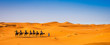 Camel caravan going through the sand dunes in beautiful Sahara Desert. Amazing view nature of Africa. Artistic picture. Beauty world. Panorama