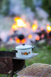 © pictures_for_you - Meat on the grill and white pan on the brazier on bonfire background