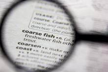 Fish Dictionary Page Free Stock Photo - Public Domain Pictures