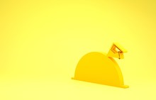 Yellow Planet With Flag Icon Isolated On Yellow Background. Minimalism Concept. 3d Illustration 3D Render