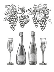 Canvas Print - champagne ink sketch set.