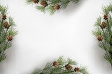 Fir Branches With Acorns Making A Frame On A White Surface