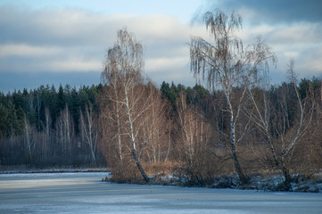 Russian winter landscape with trees and frozen pond on a sunny day