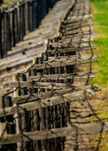 Barbed Wire, Detailed View, Majdanek, German Nazi Concentration And Extermination Camp, Lublin, Lublin Voivodeship, Poland