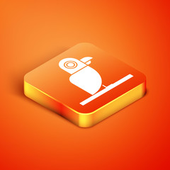 Sticker - Isometric Pirate parrot icon isolated on orange background.  Vector Illustration