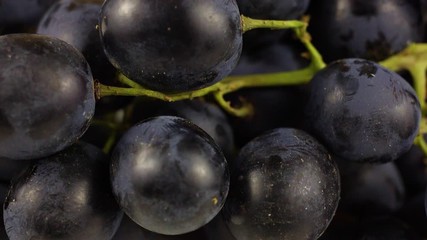 Sticker - Moldova black grapes on a white background