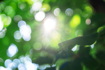 concept of Earth day. abstract blurred beautiful soft green bokeh light meadow. selective focus blurred background